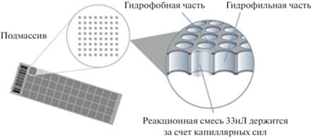 Биотехнология. T. 40, Номер 1, 2024