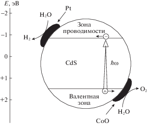 Вы точно человек?