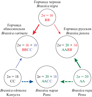 Задание №53773 ЕГЭ по Биологии