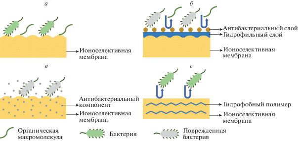 Электрохимическая коррозия металлов и методы их защиты