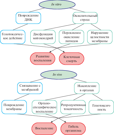 Анализаторы размера частиц - купить в Москве для лаборатории. Есть всё! | Диаэм