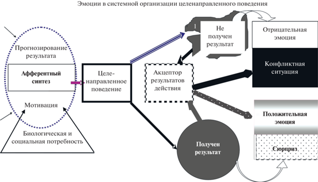 3. Зрелая сексуальная любовь