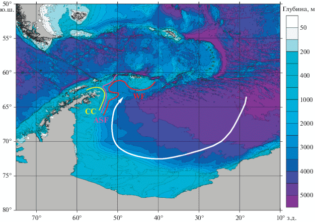 Круговорот в море Уэдделла.