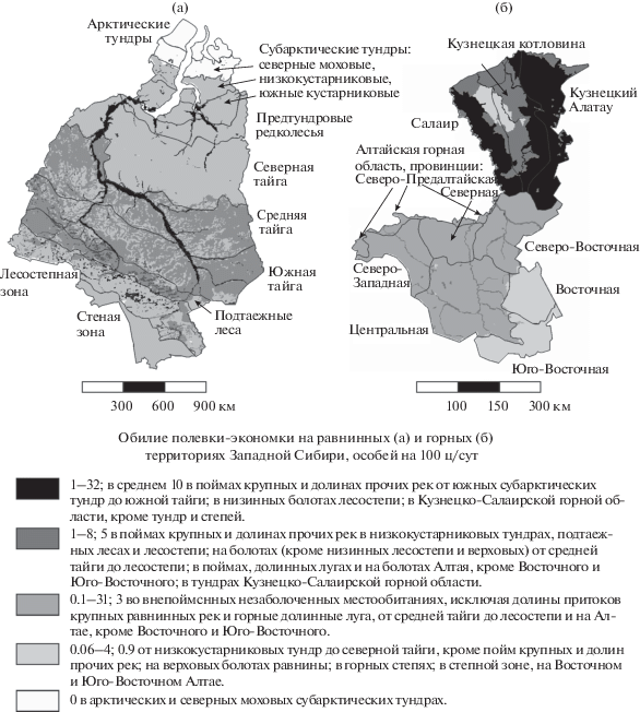 ЗА́ПАДНО-СИБИ́РСКАЯ РАВНИ́НА