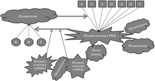 Tumor growth – a modern view of pathogenesis and pharmacotherapy (lecture)